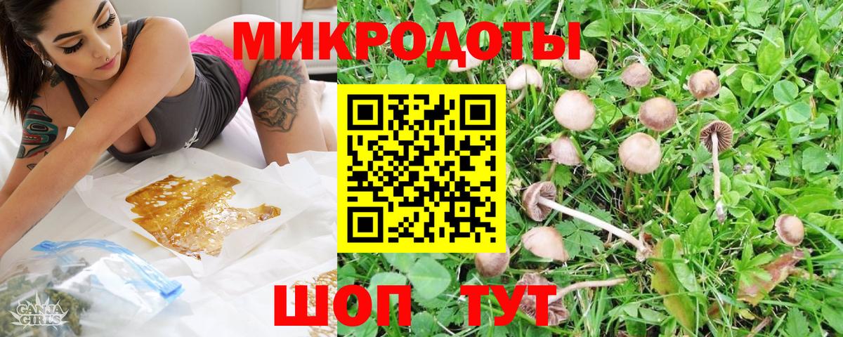 Амурск  Псилоцибиновые грибы ЛСД  Вход с VPN  Псилоцибиновые грибы Psilocybine cubensis 